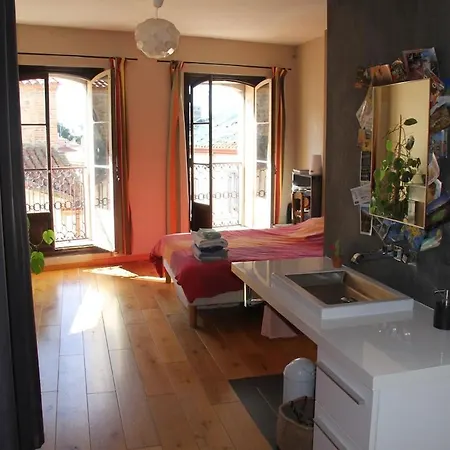Charming Duplex With 2 Terraces بيربينيو